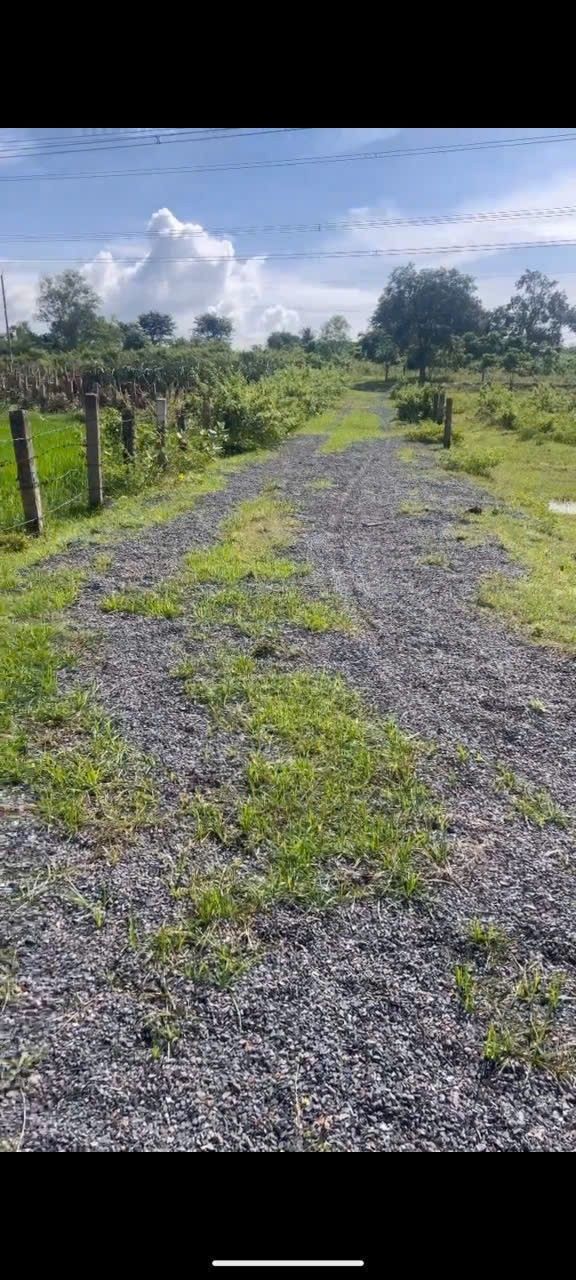 Đất cây trồng 2000m² tại thôn Phú Điền, Hàm Phú chỉ 220 triệu - Cơ hội đầu tư hấp dẫn!