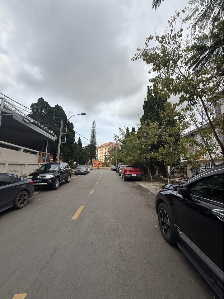 Đất mặt tiền đường Ngô Huy Diễn Đà Lạt 320m² giá 32 tỷ - Đầu tư sinh lời tuyệt vời!