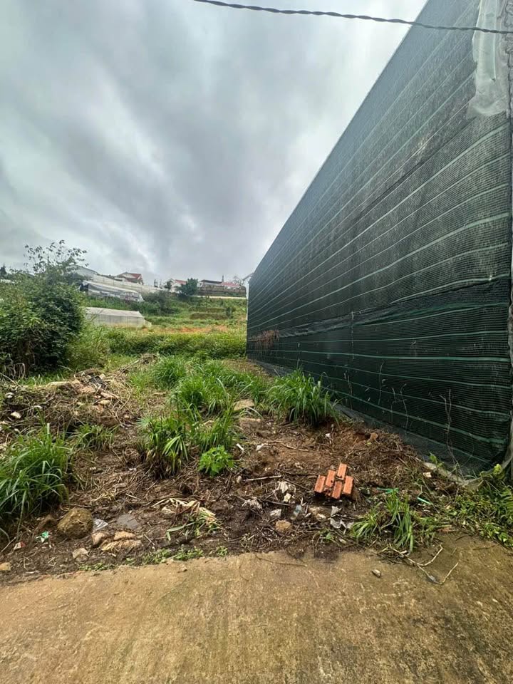 Lô đất Vạn Kiếp, phường 8, Đà Lạt 67m² giá 800 triệu - Ô tô vào tận nơi!