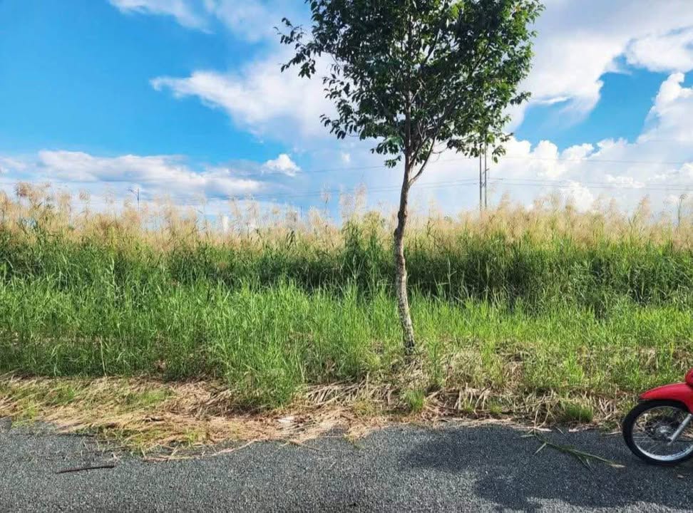 Đất nền KĐT Tân Xuyên 250m² giá 800 triệu - Đầu tư sinh lời cao!