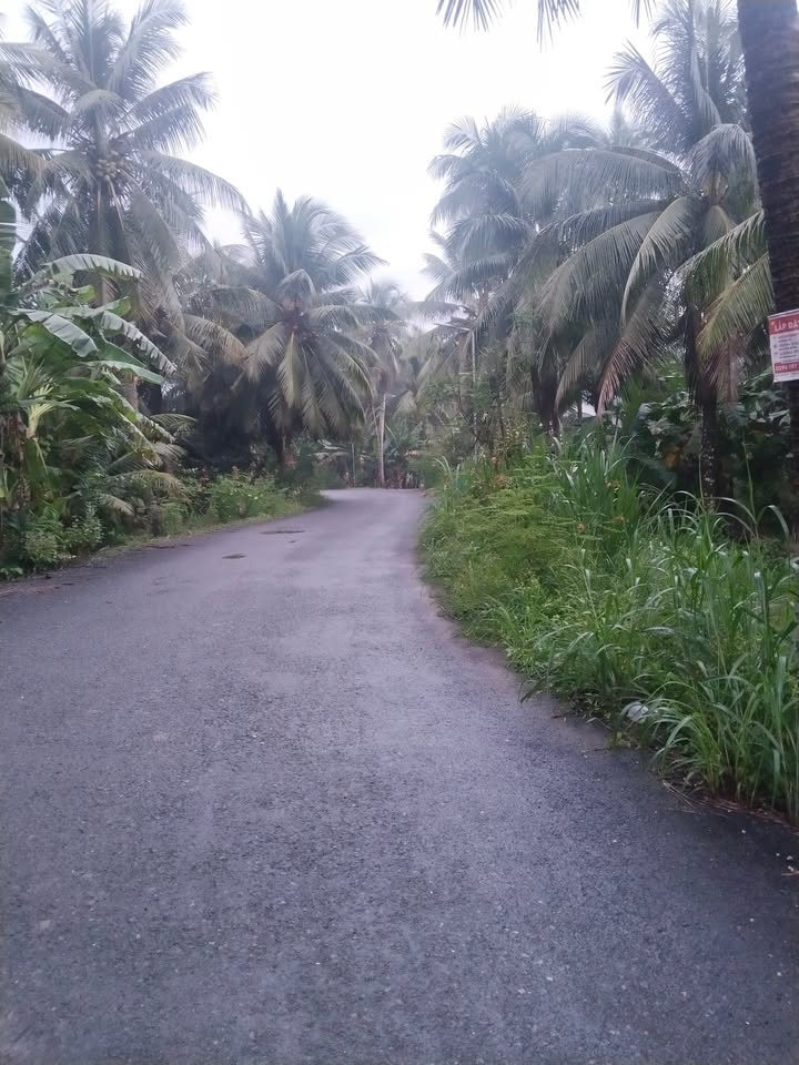 Đất mặt tiền đường nhựa Càng Long 450m² giá chỉ 620 triệu - Thương lượng ngay!