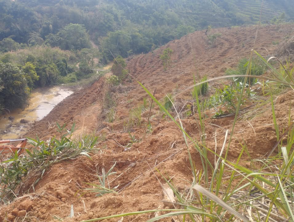 Đất Farm 3.5ha tại Đak Nia, Gia Nghĩa, Đak Nông - Pháp lý rõ ràng, tiềm năng sinh lời!
