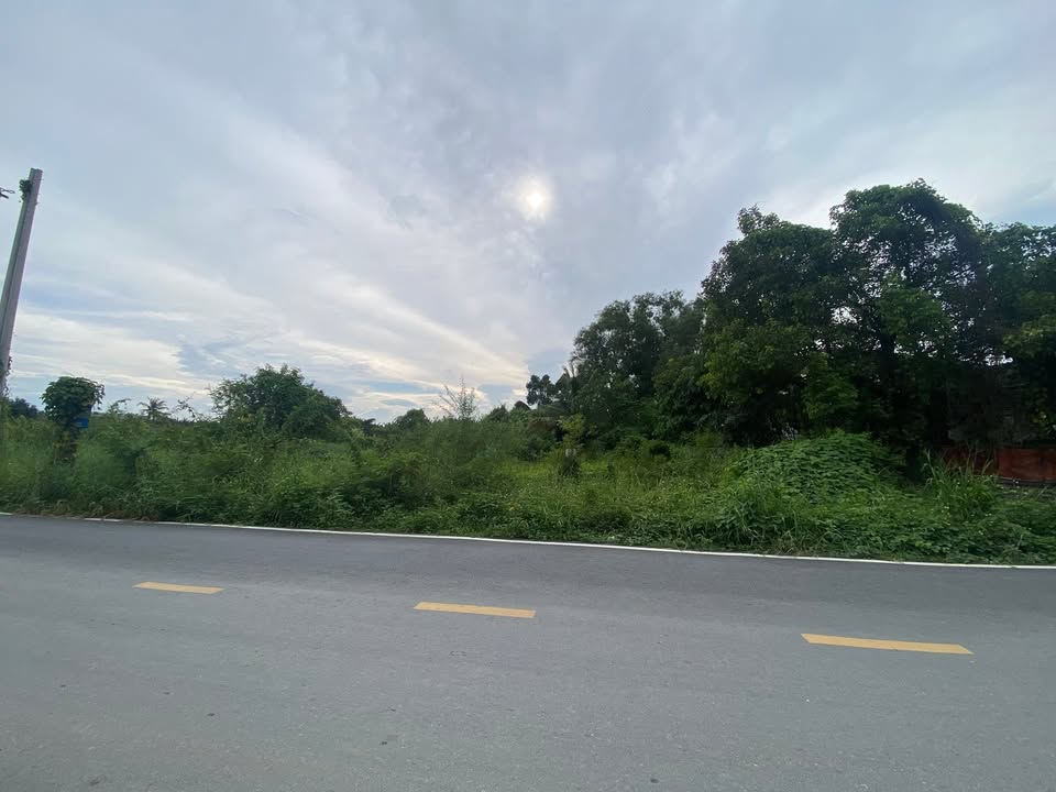 Đất mặt tiền Bưng Ông Thoàn, Phú Hữu, Quận 9 - Diện tích 2096m², Giá chỉ 79 tỷ!