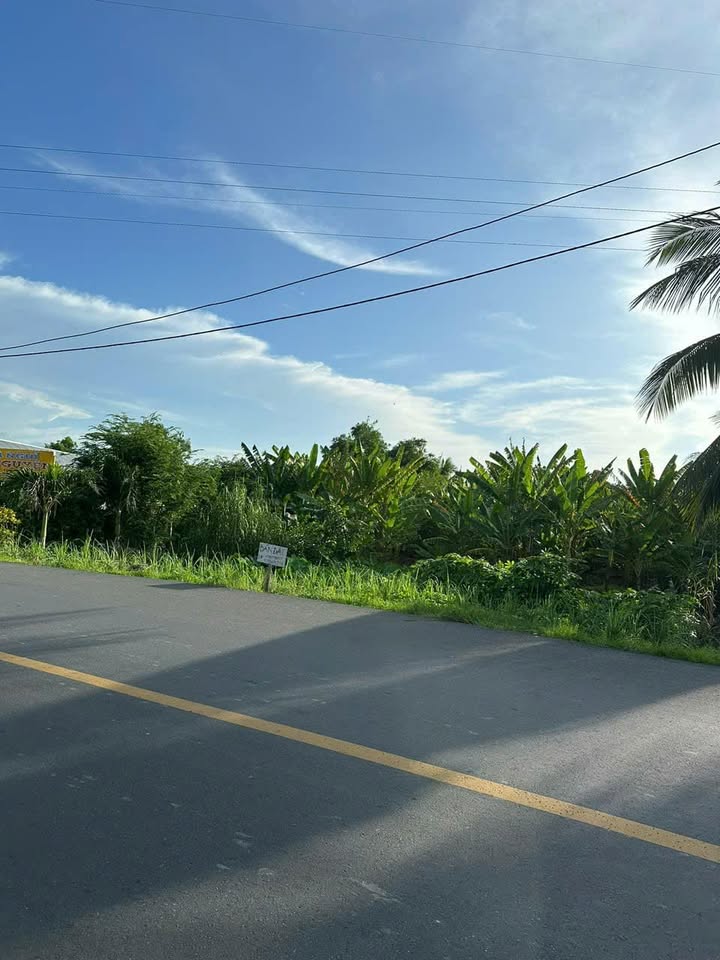 Đất ở và đất trồng cây Thị trấn Long Phú, Sóc Trăng 1856,3m² giá 3,7 tỷ - Sổ hồng chính chủ, thương lượng!