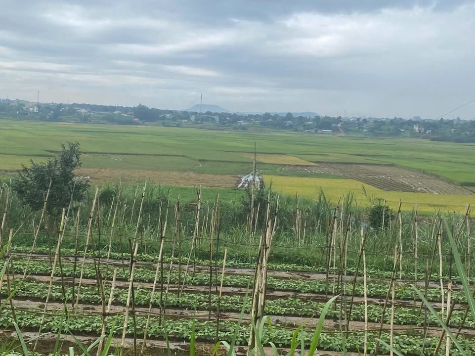 Đất nền Trà Đa, Pleiku 850m² - Đầu tư lý tưởng cho tương lai!