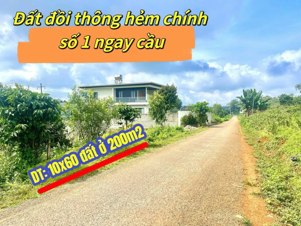 Đất nền 600m² đường Phan Đình Phùng, Pleiku - Giá 2.XXX tỷ, thương lượng chính chủ!