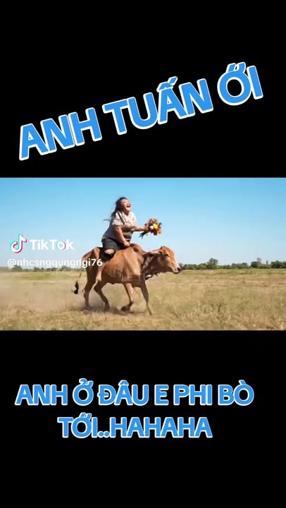 Nhà phố Đồng Xoài 150m² giá 3 tỷ - Đầu tư sinh lời ngay!