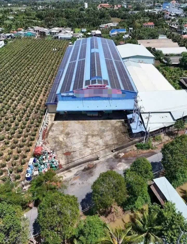 Xưởng 6134m² tại Châu Thành, Long An giá 26 tỷ - Đầu tư sinh lời ngay!