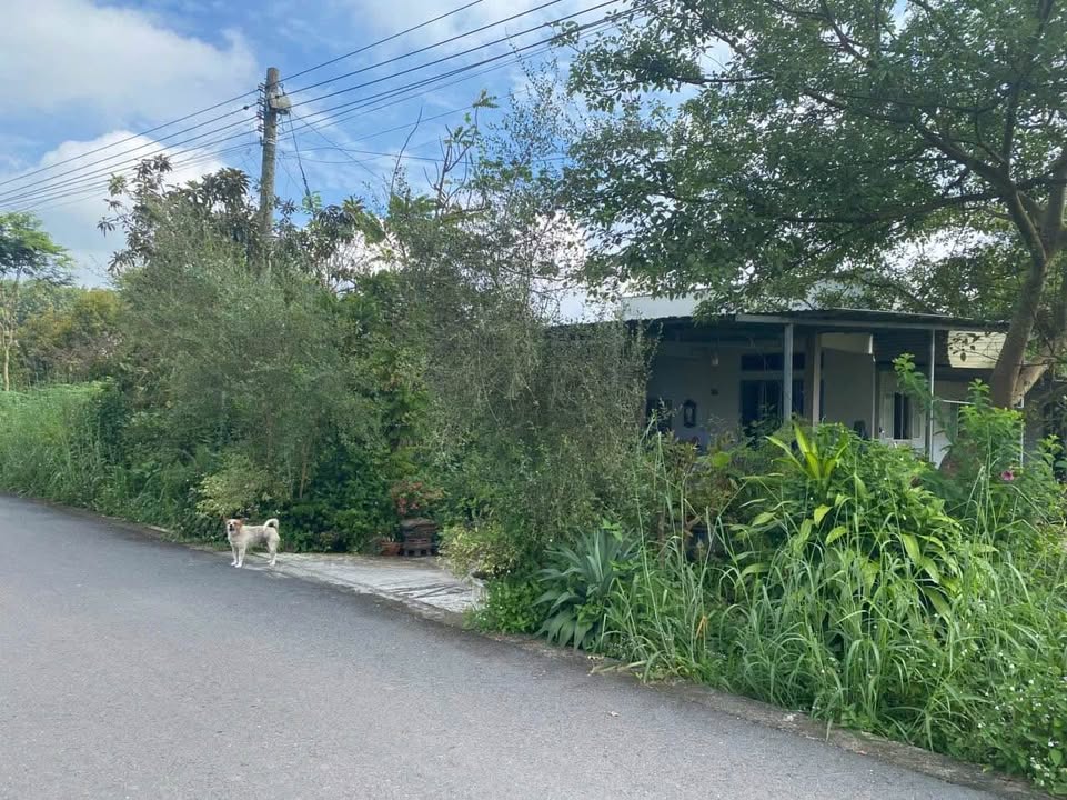 Đất nền xã Minh Thạnh, Dầu Tiếng 565m² giá thỏa thuận - Vị trí đẹp, đầu tư tiềm năng!