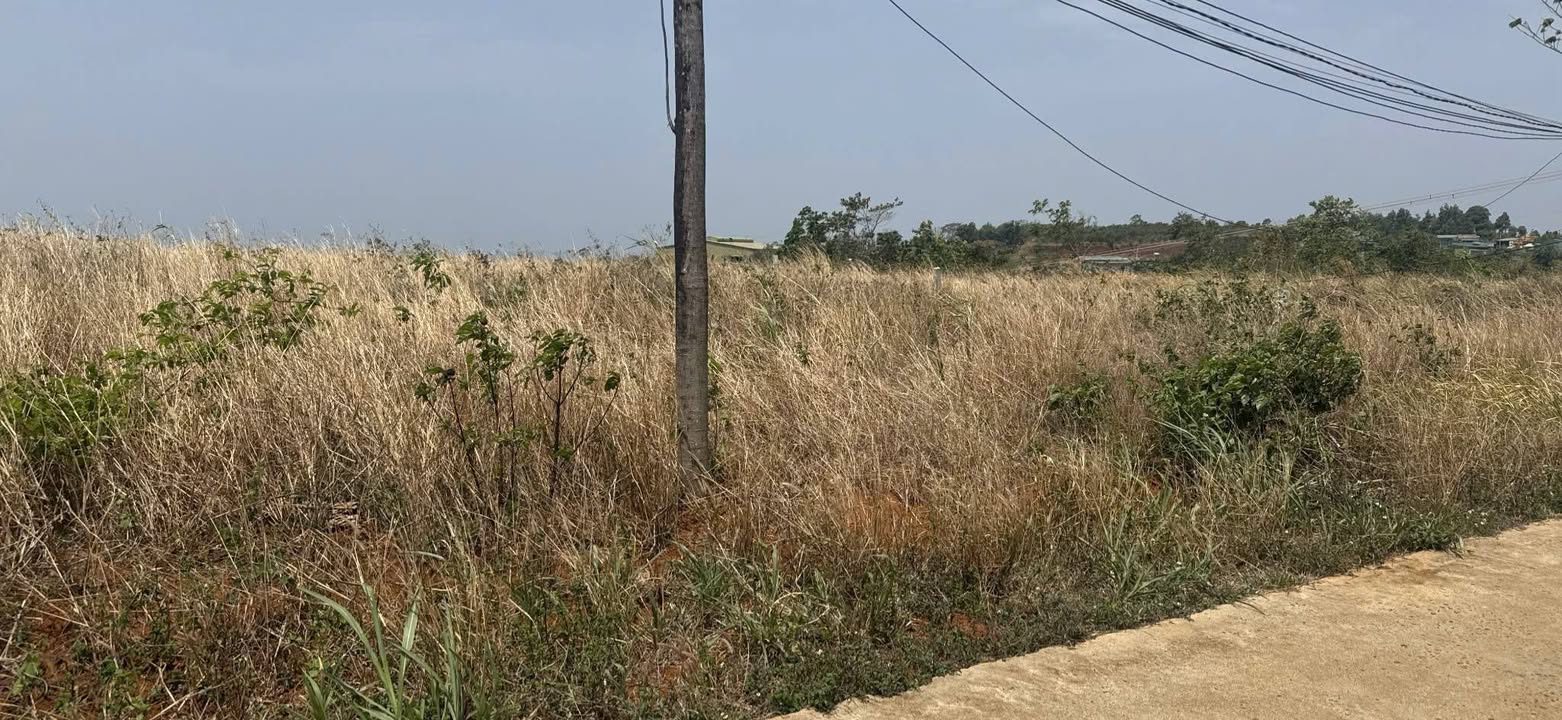 Bán đất nền Đắk Lấp, Đắk Nông 960m² giá 966 triệu - Đầu tư sinh lời ngay!