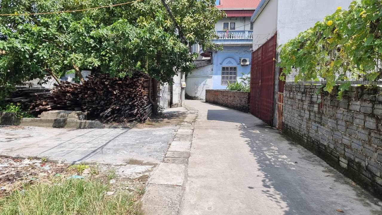 Lô đất Hùng Vương Hồng Bàng 48.7m² giá 1.25 tỷ - Đầu tư sinh lời ngay!