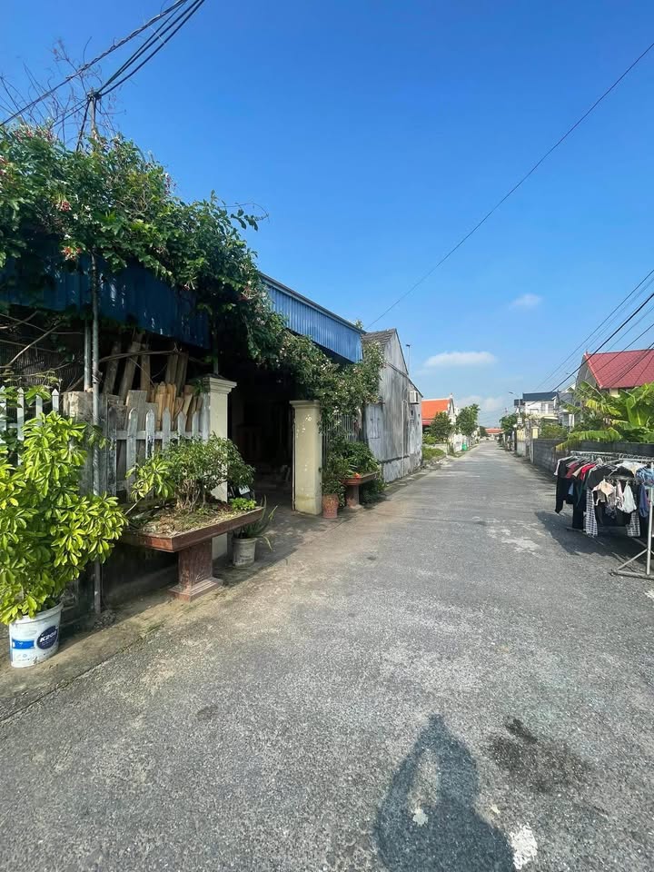 Đất nền mặt đường Đoàn Xá - Kiến Thụy 87.5m² giá chỉ 2.523 tỷ - Cơ hội đầu tư vàng!