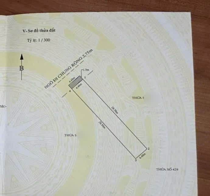 Lô đất chính chủ tại Lạch Tray, Ngô Quyền 127,7m² - Đầu tư sinh lời ngay!