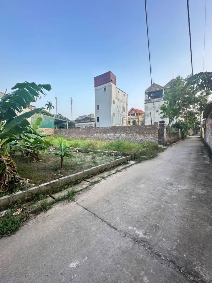 Đất nền 80m² tại Tự Nhiên, Thường Tín - Ô tô vào tận đất!