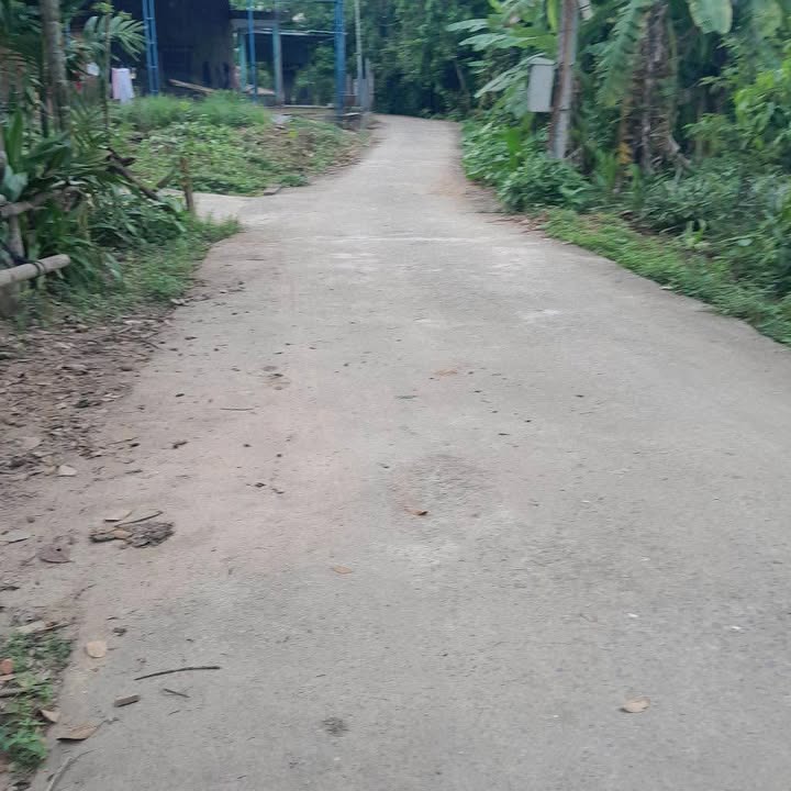 Lô đất Hòa Phú, Hòa Vang 121.8m² giá 1 tỷ - Cơ hội đầu tư tuyệt vời!