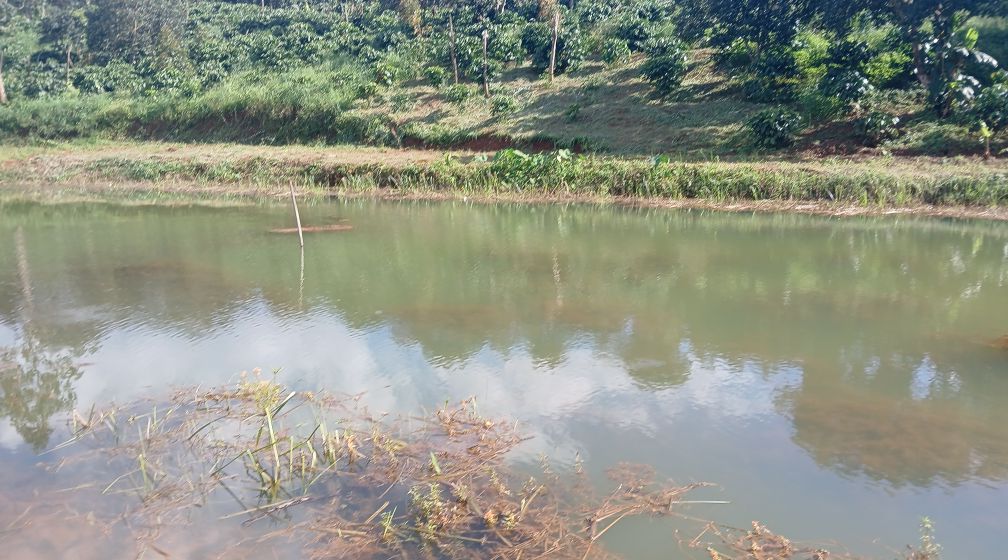 Đất nông nghiệp Tuy Đức Đắk Nông 2,2ha giá 3 tỷ - Đường rộng, sổ đỏ chính chủ!