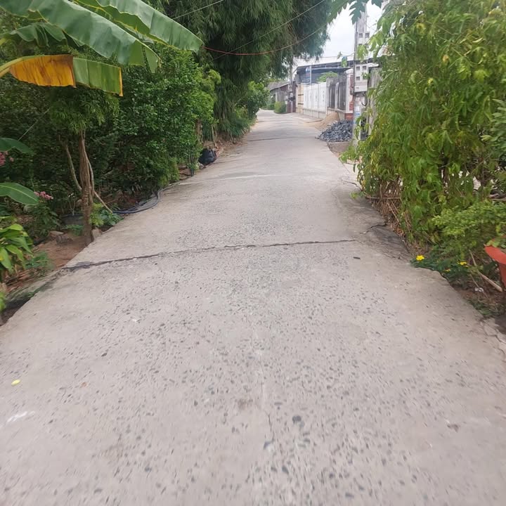 Nhà cấp 4 Tân Phú Đông, Sa Đéc 300m² - Vị trí gần trung tâm, giá chỉ 1 tỷ!