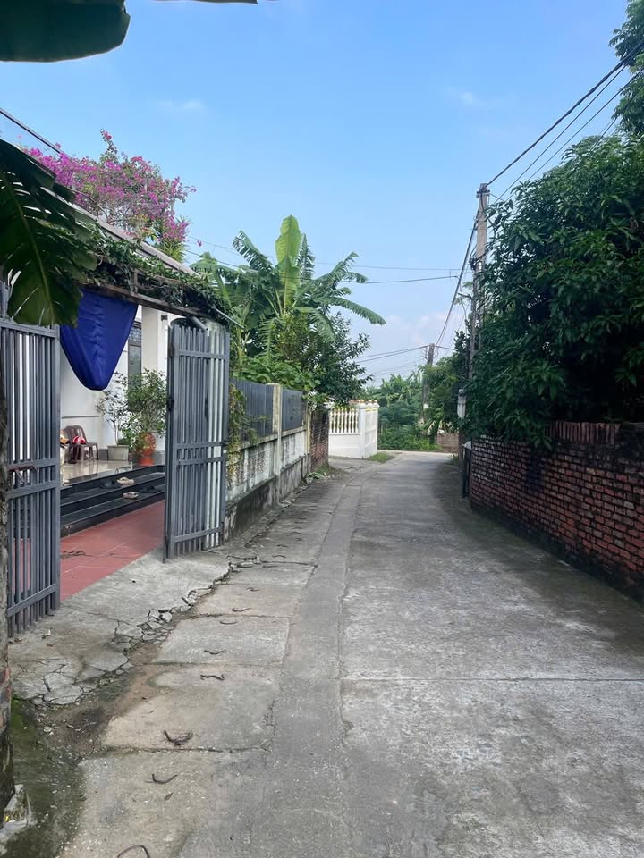 Đất thổ cư 115m² đường Phùng Chí Kiên, Phúc Yên - Gần hồ Đại Lải chỉ 1,5km!