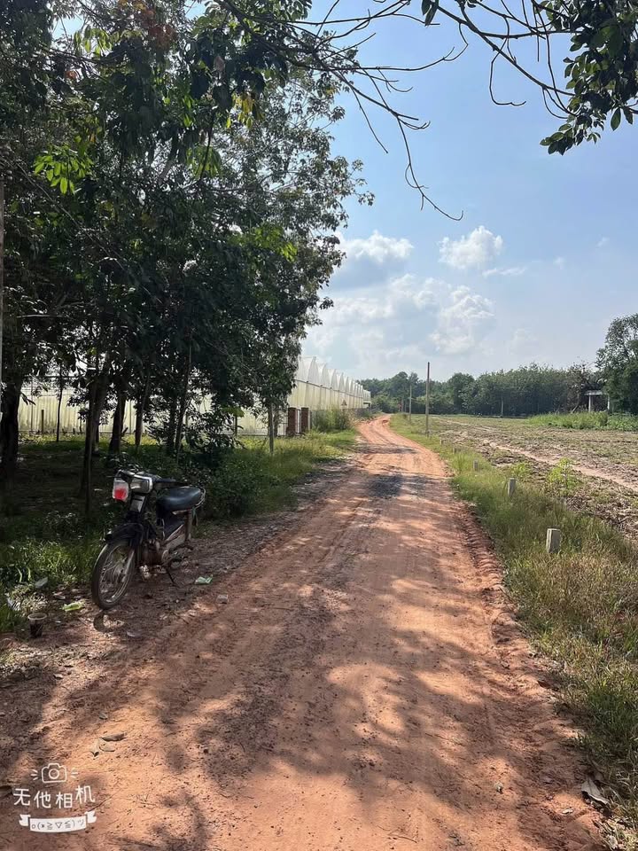 Đất nền Tân Phong Tân Biên 165m² giá 179 triệu - Đầu tư sinh lời ngay!