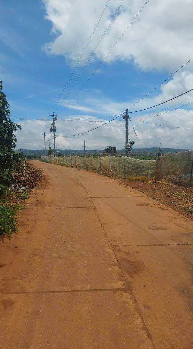 Đất nền Tân Hội, Đức Trọng 3600m² giá 820 triệu - Cơ hội đầu tư lý tưởng!