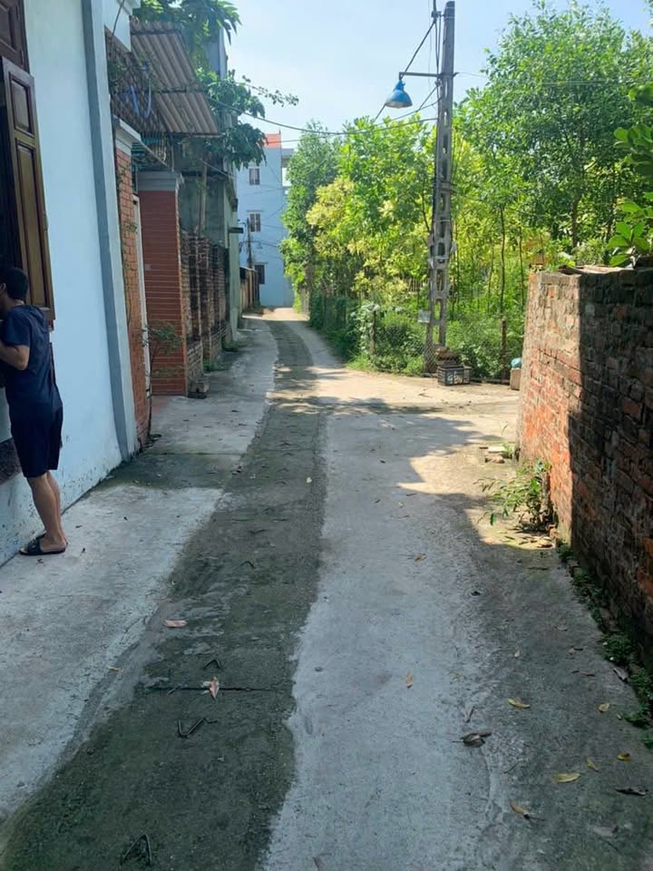 Đất thổ cư 203m² Phú Thịnh Sơn Tây giá 2 tỷ - Cơ hội đầu tư tuyệt vời!