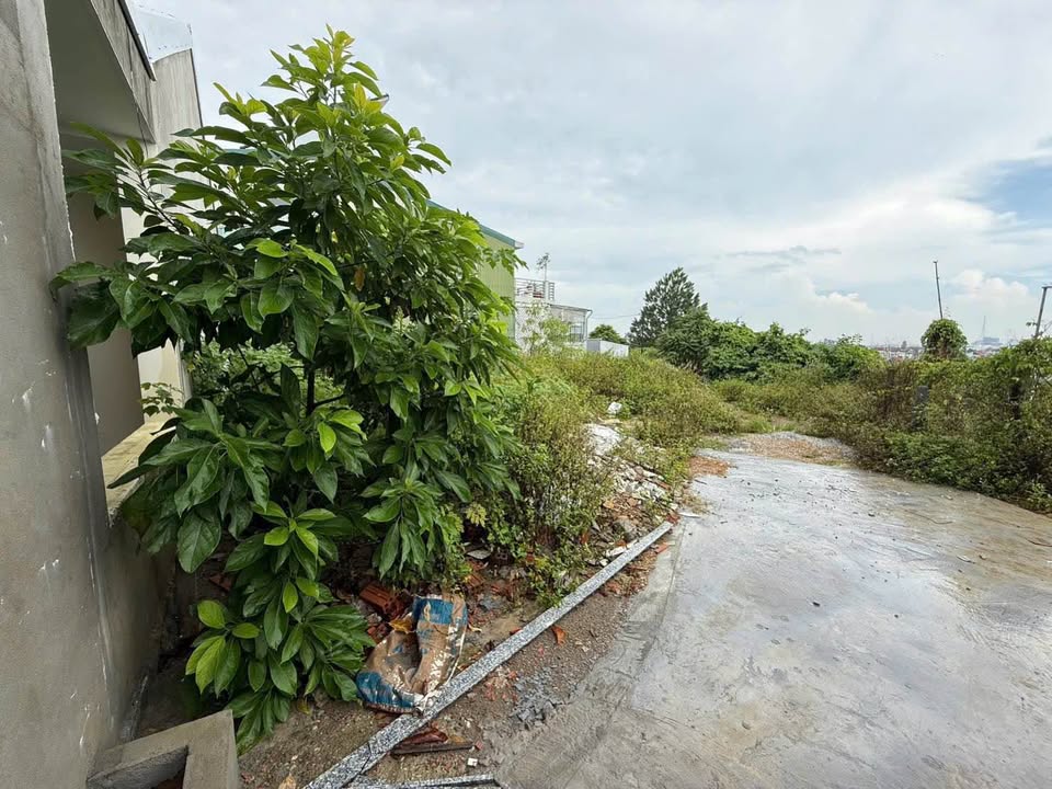 Đất nền Trần Thái Tông, Huế 100m² giá 1.3 tỷ - View đồi tuyệt đẹp!