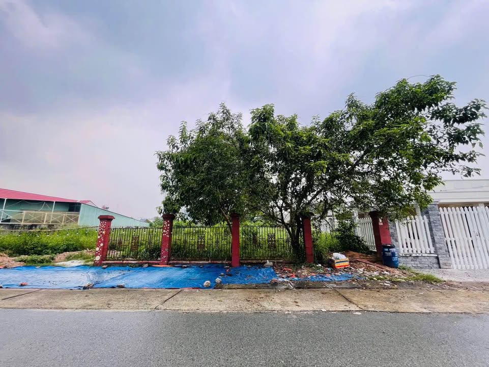 Bán đất Tân Thông Hội, Củ Chi 480m² giá 13.9 tỷ - Đầu tư sinh lời ngay!