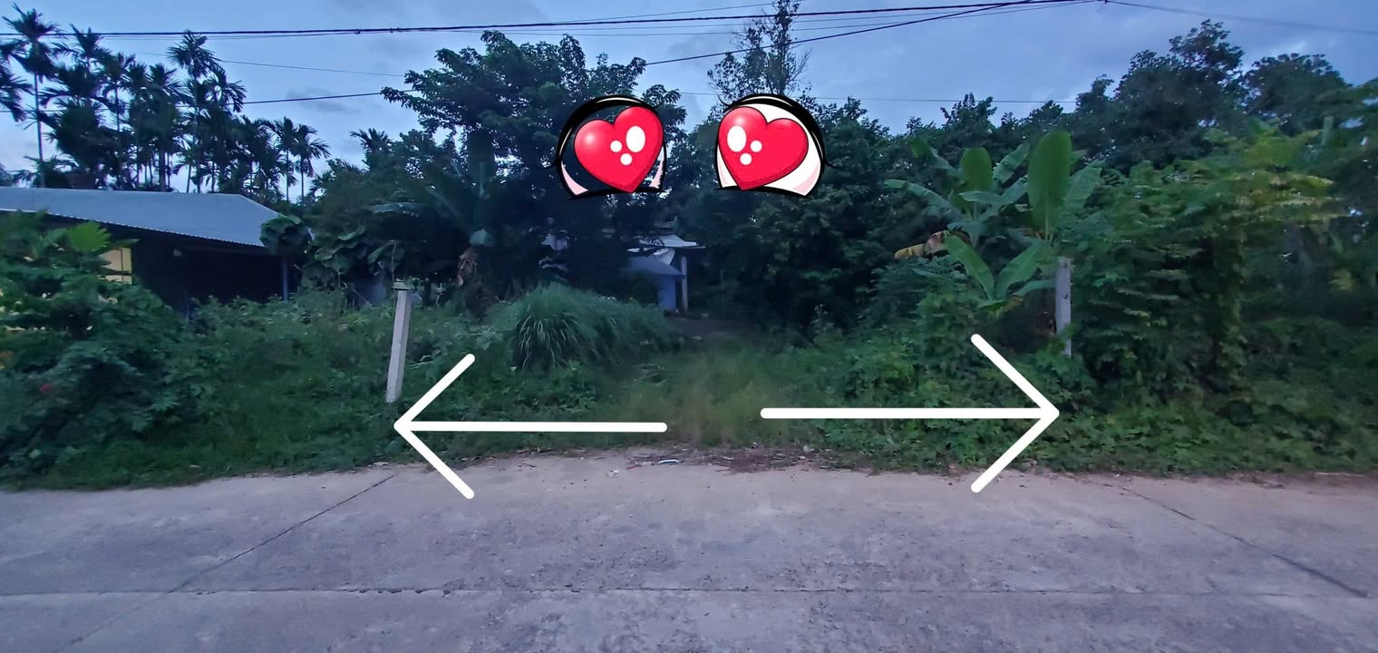 Đất Hòa Nhơn Đà Nẵng 229m² chỉ 2 tỷ - Giảm giá mạnh đến 500 triệu!