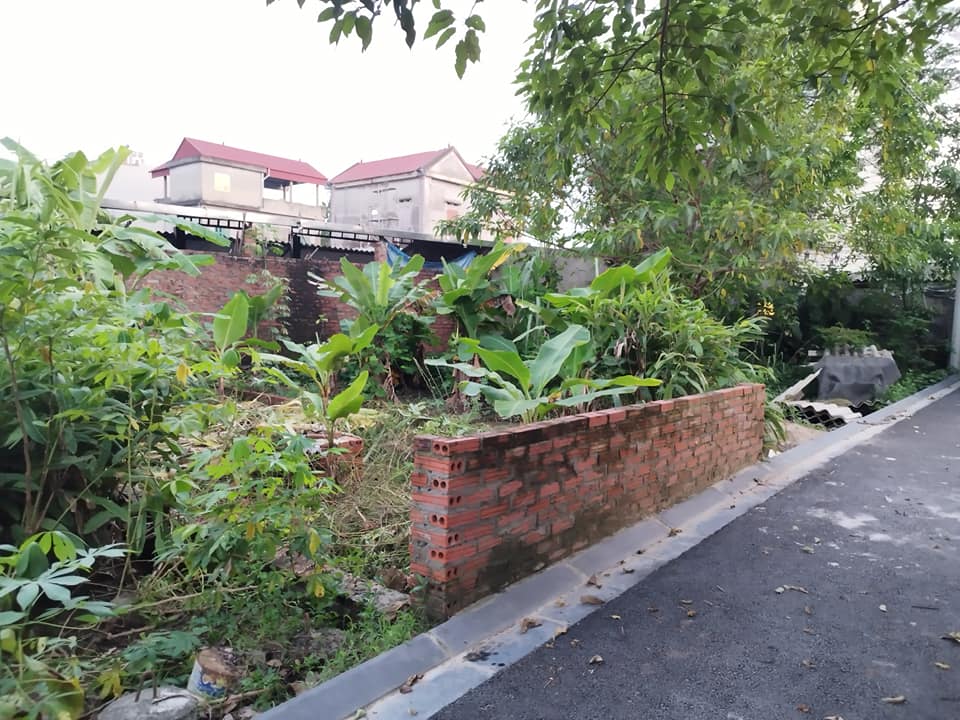 Đất nền Xuân Nộn Đông Anh 45m² giá 2 tỷ - Ô tô vào tận nơi!