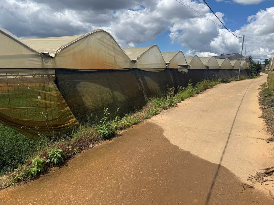 Đất Farm 4000m² tại Hồ Than Thở, Đà Lạt - Giá chỉ 48 tỷ, chính chủ bán gấp!