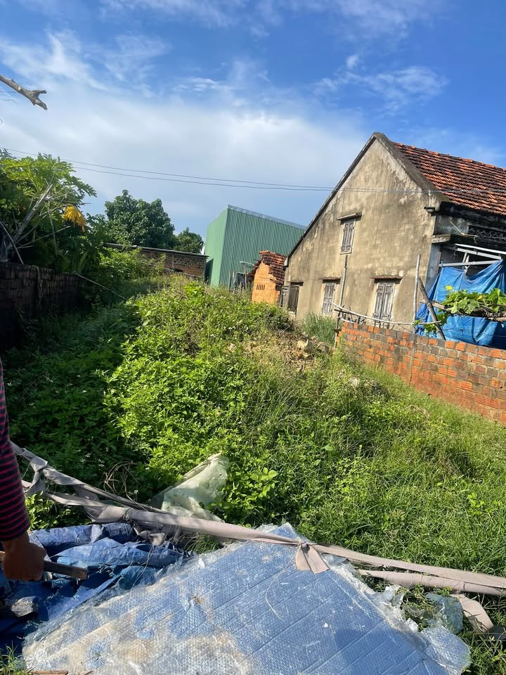 Đất thổ cư Thôn Thọ Nghĩa, Phước Nghĩa 146m² giá từ 600 triệu - Vị trí đẹp, giao thông thuận tiện!