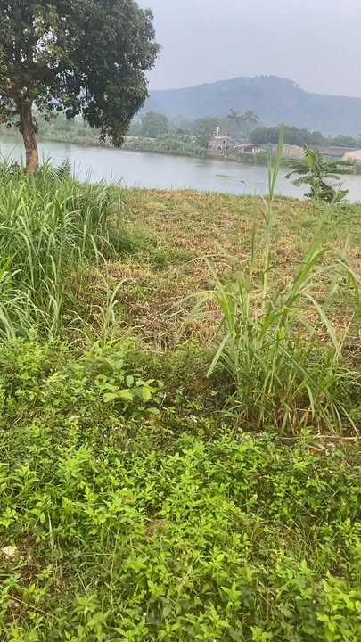 Đất nền mặt đường Liên Thôn Nho Quan 100m² - Giá thỏa thuận hấp dẫn!