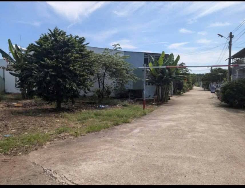 Đất thổ cư 231m² Tiến Thành - Giá chỉ 2 tỷ, đầu tư sinh lời!