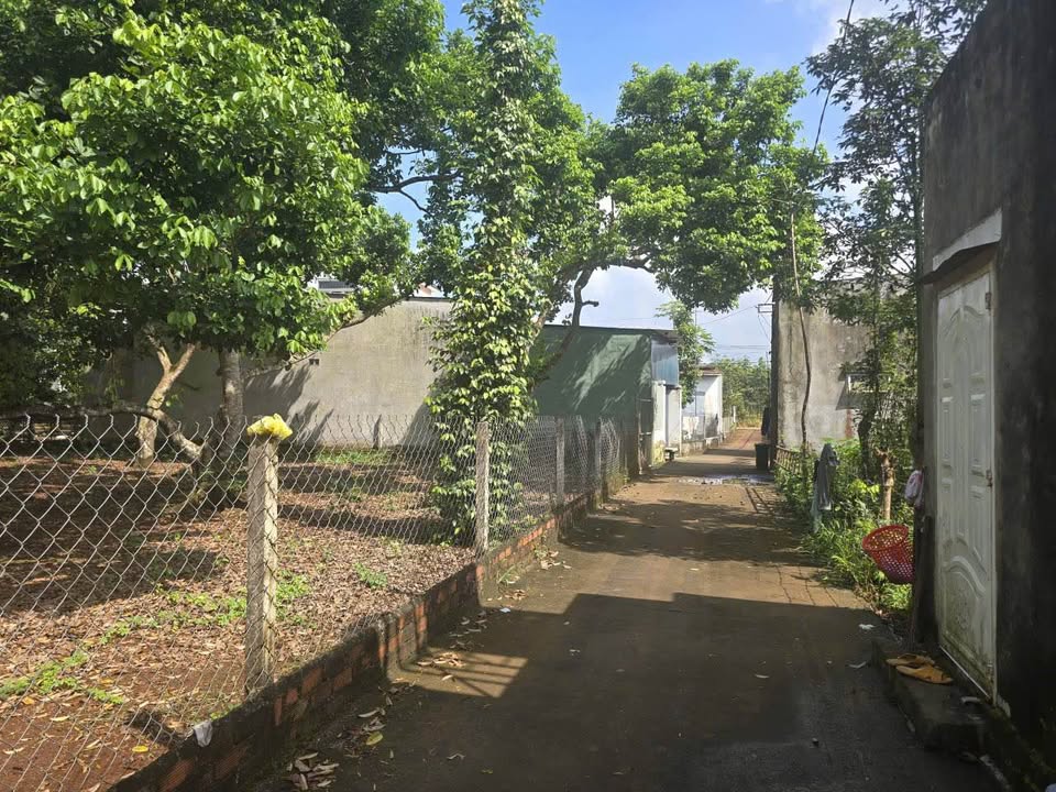 Đất nền liền kề tại phường Xuân Lập - 105m² giá 890 triệu - Đầu tư sinh lời ngay!