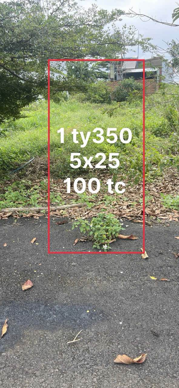 Đất nền Nguyễn Đình Chiểu, Bảo Lộc 125m² giá chỉ 1.35 tỷ - Vị trí đắc địa gần trường học!