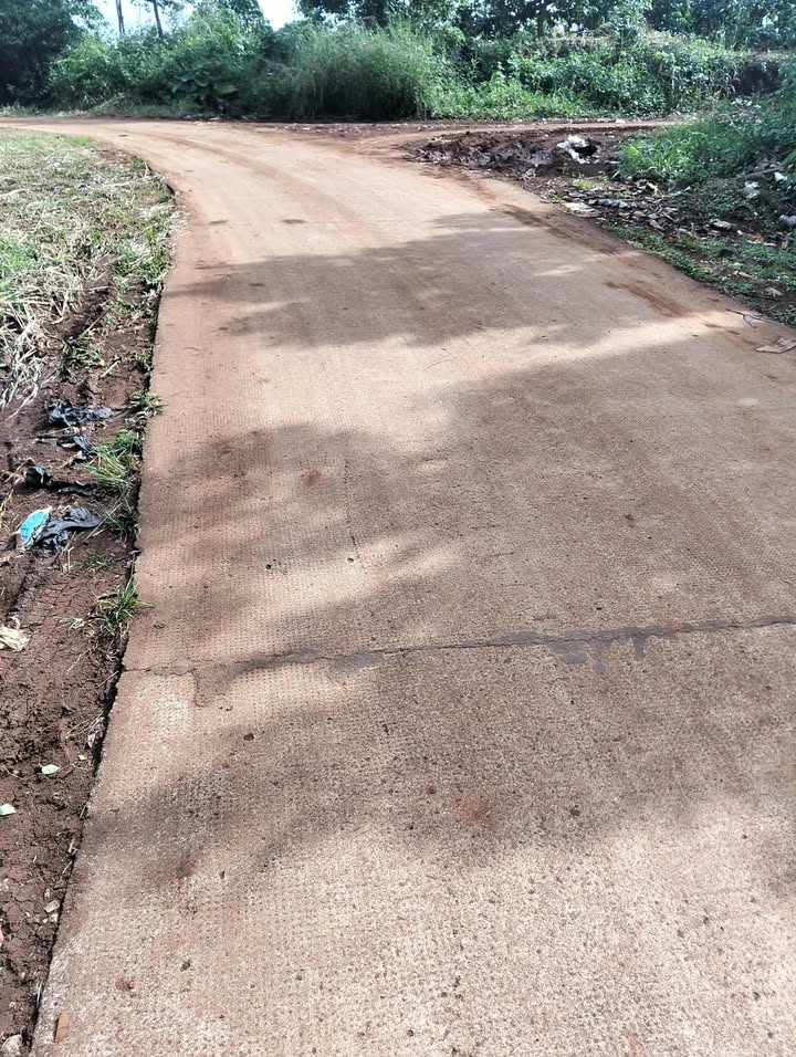 Farm 3.7ha tại Đắk Rtih, Tuy Đức - Giá 8 tỷ, có sẵn cây ăn trái!