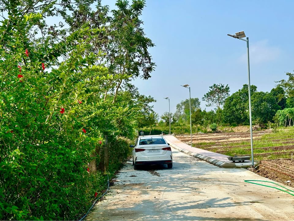 Đất thổ cư Đại Đình Tam Đảo 113m² giá chỉ 400 triệu - Cơ hội đầu tư lý tưởng!