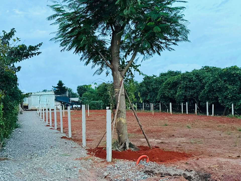 Đất nền Phước Tân, Xuyên Mộc 117m² giá 900 triệu - Đầu tư sinh lời ngay!