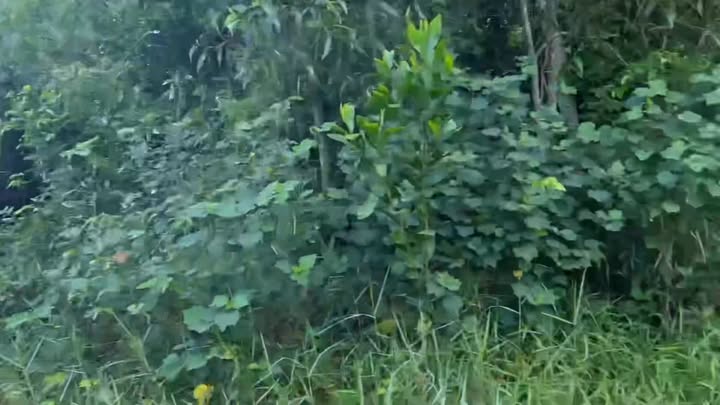 Đất Farm 5.122m² tại Hưng Thuận, Trảng Bàng - View Sông Sài Gòn tuyệt đẹp!