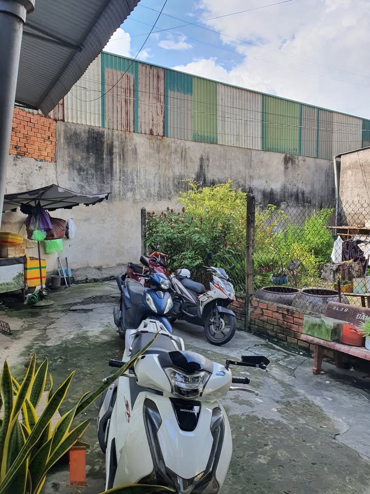 Nhà cho thuê đường 30.04, Sóc Trăng 50m - Giá chỉ 2.5 triệu/tháng!