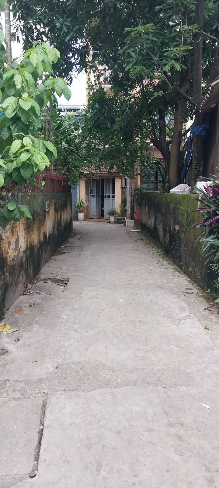 Bán nhà phố Nguyên Xá 30m² giá 7 tỷ - Không gian sống an yên!