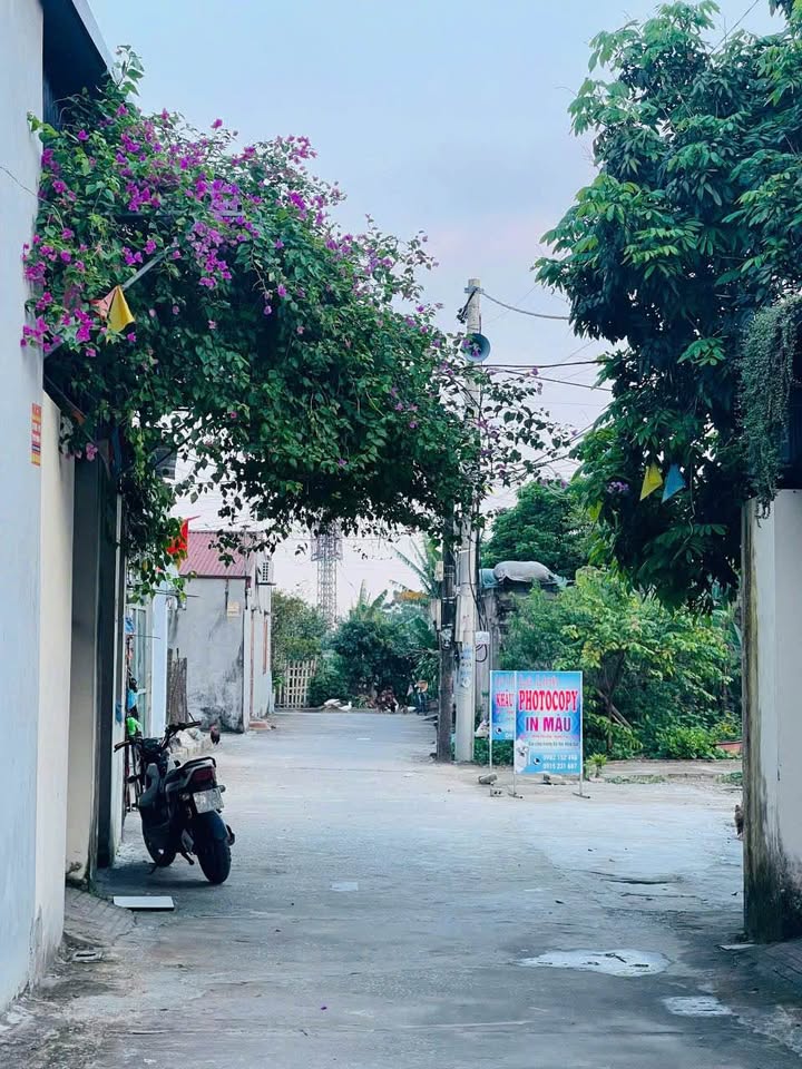 Đất thổ cư đường Thành Mai, phường Quảng Thành 94m² chỉ 1.5 tỷ - Vị trí trung tâm tiện ích!