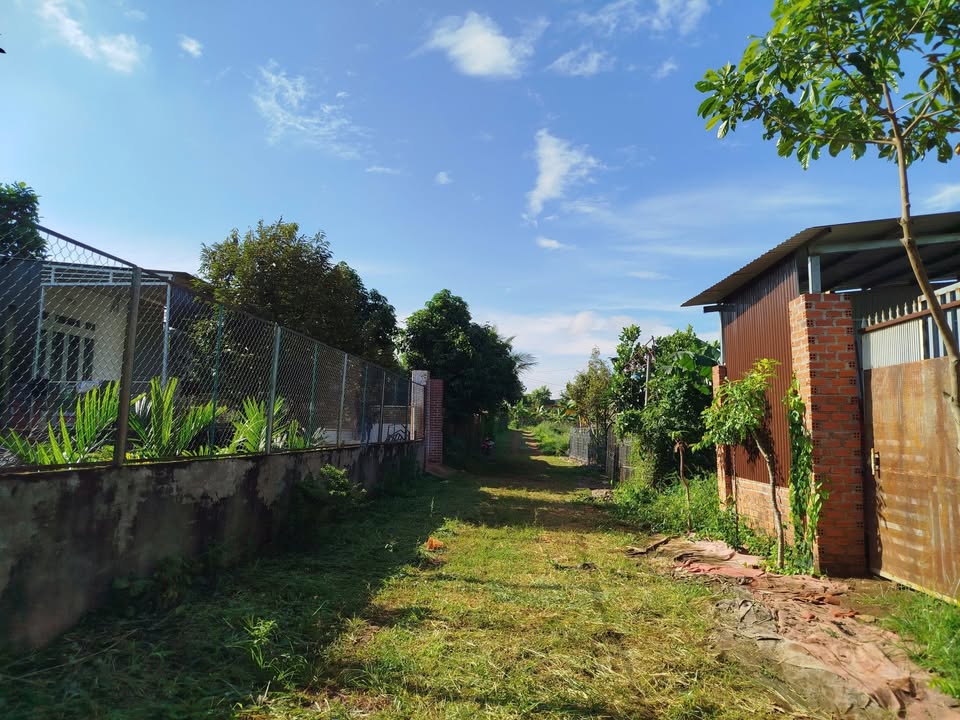 Đất nông nghiệp Thành Nhất, Buôn Ma Thuột 100m² giá 285 triệu - Hướng Đông mát mẻ!