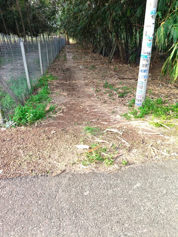 Đất nền Bàu Bàng 5000m² mặt tiền 67m - Giá thỏa thuận hấp dẫn!