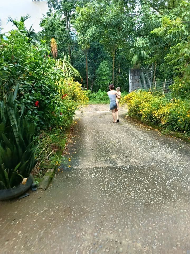 Đất nền Kim Bôi Hòa Bình 2286m² giá 2.286 tỷ - Vị trí đẹp gần khu thể thao