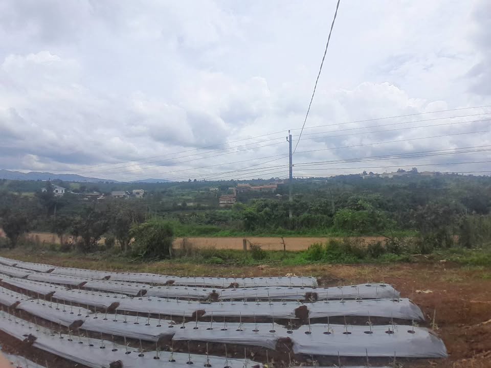 Đất nền Tân Thanh, Lâm Hà 1ha giá 10.5 tỷ - Đầu tư sinh lời lý tưởng!