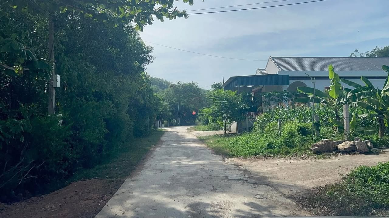 Đất nền xã Nghĩa Hội 244,5m² giá chỉ 499 triệu - Đầu tư sinh lời ngay!