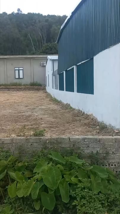 Đất nền Diễn Phú 238.7m² giá chỉ 2 tỷ - Đường nhựa 12m, vị trí đắc địa!