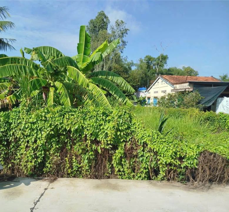 Đất thổ cư 1.148m² xã Lợi Bình Nhơn, TP Tân An - Giá chỉ 4.6 tỷ!