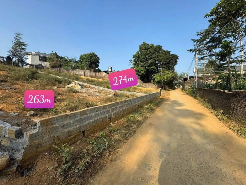 Đất nền Hòa Bình 300m² giá 3 tỷ - Sổ hồng chính chủ, đầu tư sinh lời!